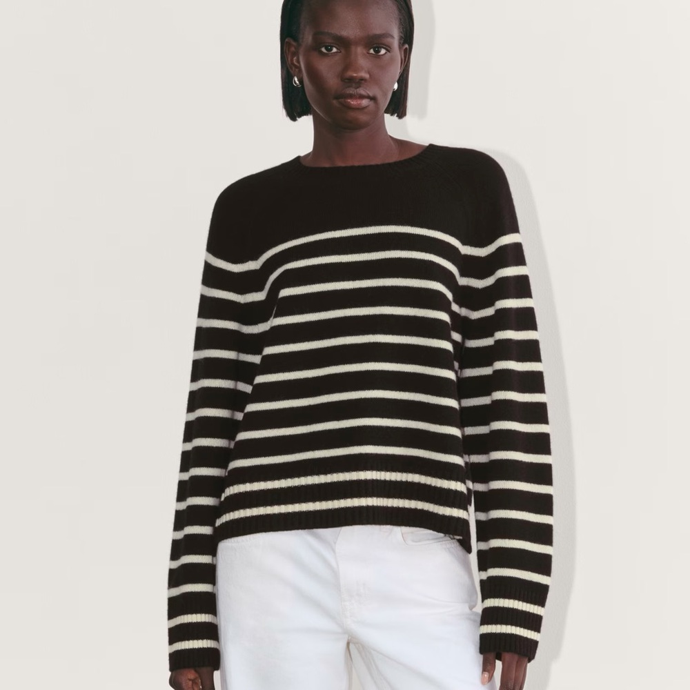Everlane The Boxy Crew Sweater in Cashmere